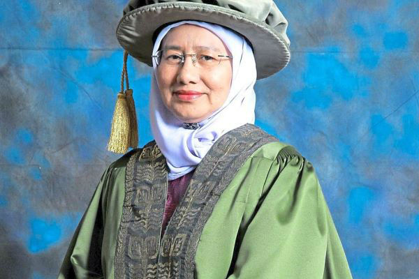 UPM Aini Post