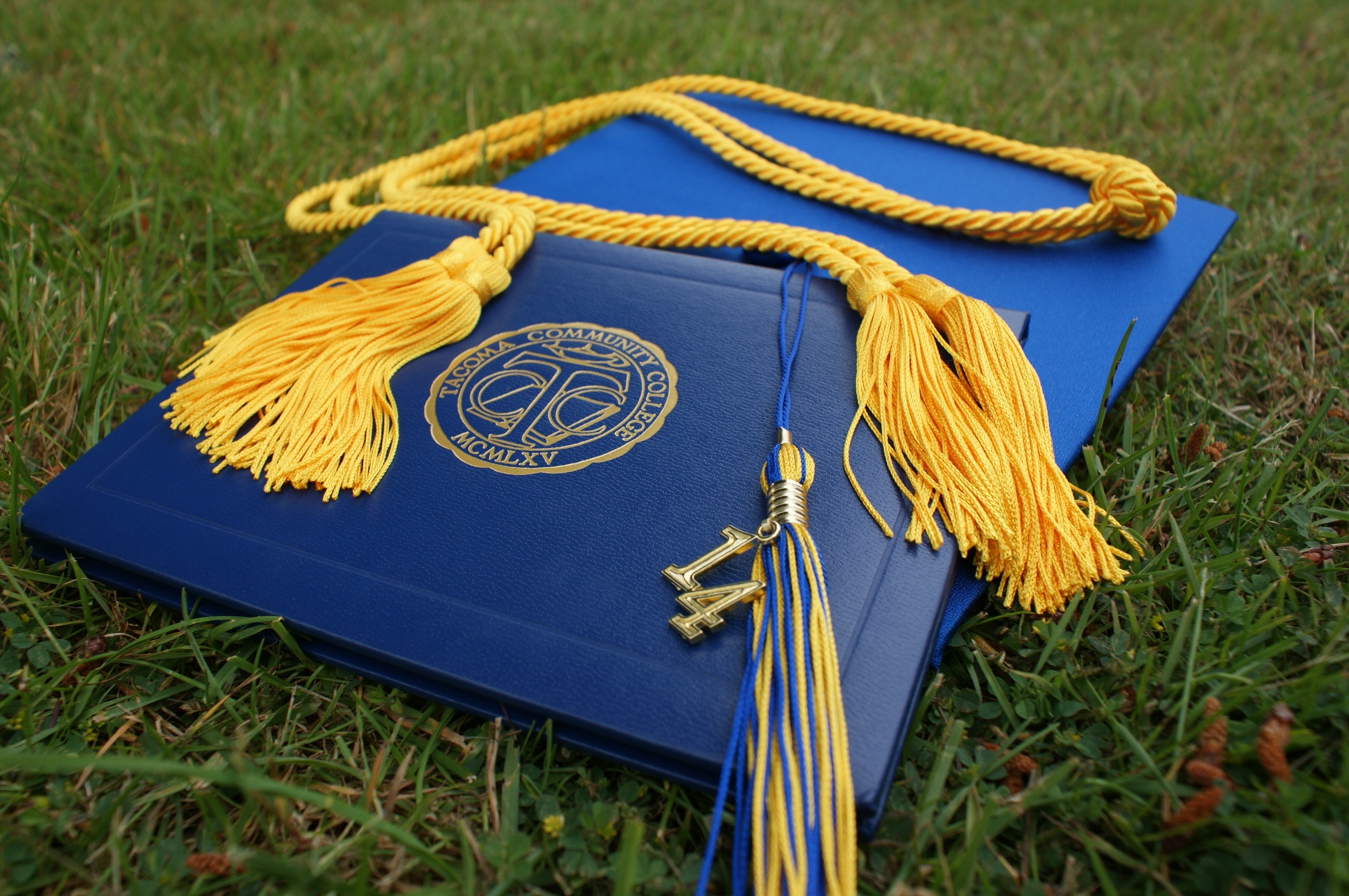 diploma programme
