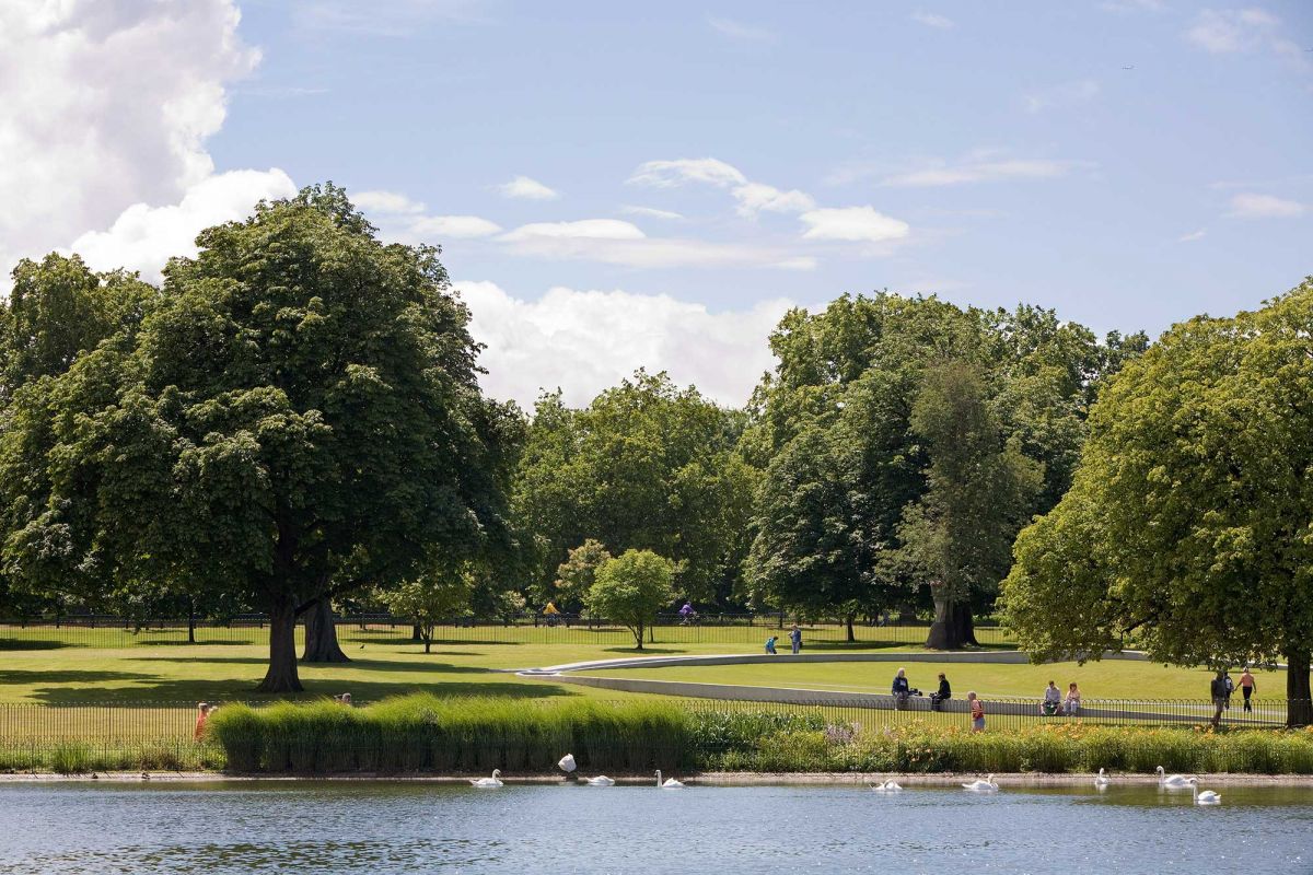 picnic in the park