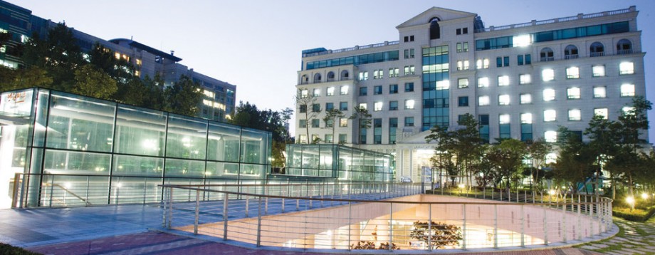 Hanyang University Scholarship