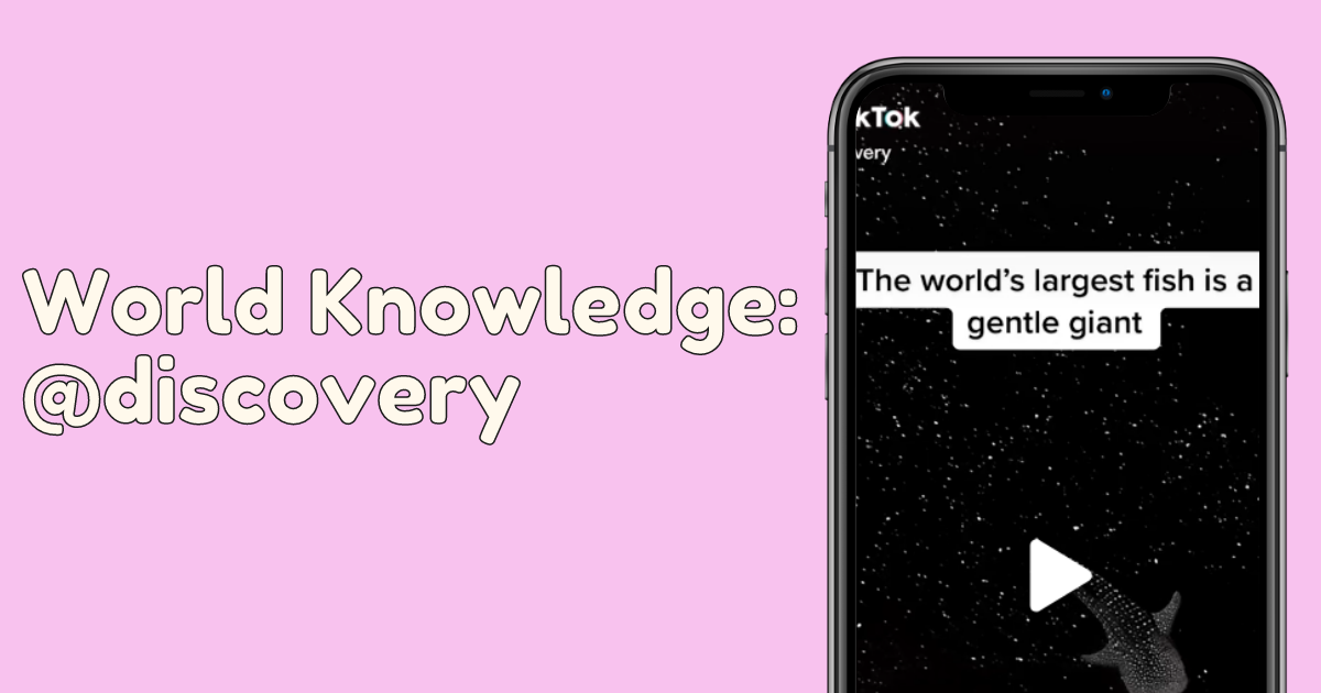 Discovery