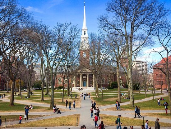 Overseas Universities