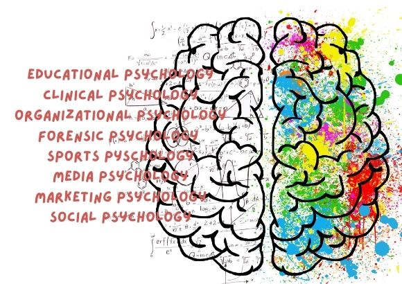 Psychology Career